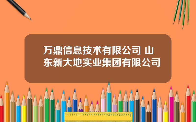 万鼎信息技术有限公司 山东新大地实业集团有限公司